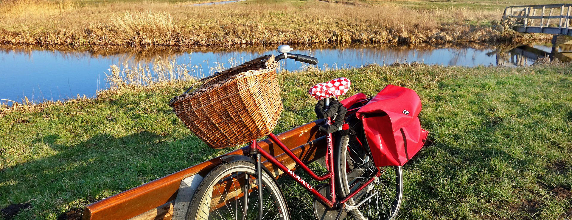 Magasin De Vélos 3 Magasin De Vélos -Magasin De Vélos bicycle 3168273 1920